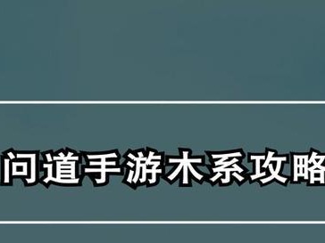 《问道手游高防水攻略》（深度解析提升角色防水能力，助你畅游无忧）