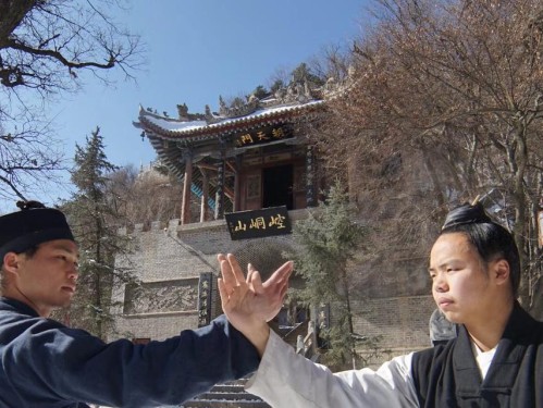 问道手游道士修炼攻略（轻松掌握道士修炼技巧，成为顶尖玩家）