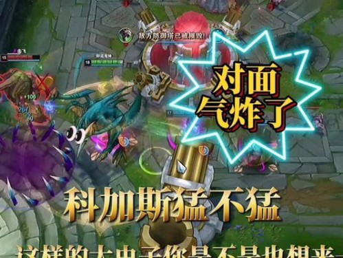 《双人大虫子出装攻略》（高效组合装备助你双打击败敌人）