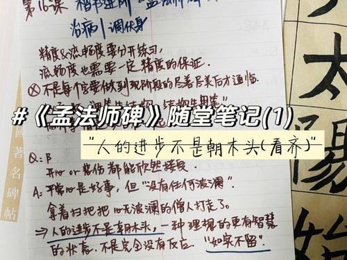 《艾尔多战记冒险笔记》第一关进阶教学（掌握关键技巧轻松过关）