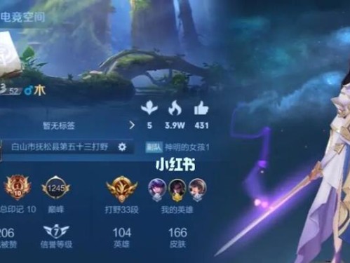 《王者来了攻略大全》（打造无敌战队，稳坐王者宝座！）
