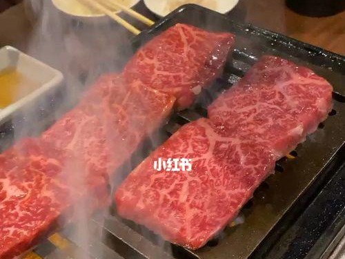 以肉装凤凰出装攻略大全（全面分析如何以肉装凤凰，带你走上胜利之路）