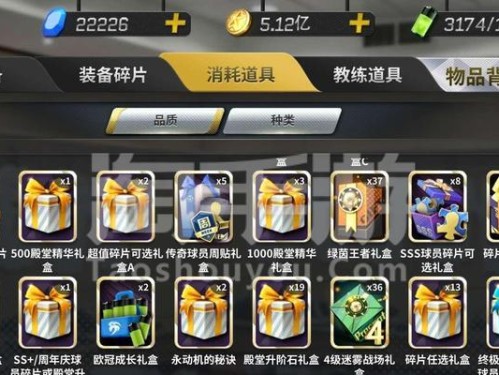 《攻略大揭秘！豪门冠军风云手游》（掌握游戏规则，称霸豪门盛世）