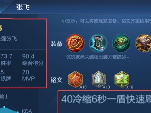 张飞铭文装备辅助出装攻略（全面解析张飞铭文装备选择及技巧，助你成为优秀辅助玩家）