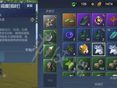 《妄想山海》游戏凤鸣装备获取攻略（如何快速获取凤鸣装备，让你在游戏中更胜一筹？）
