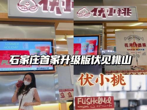 奶茶技能升级攻略大全（打造美味奶茶的关键技巧和提升方法）