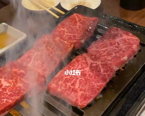 以肉装凤凰出装攻略大全（全面分析如何以肉装凤凰，带你走上胜利之路）